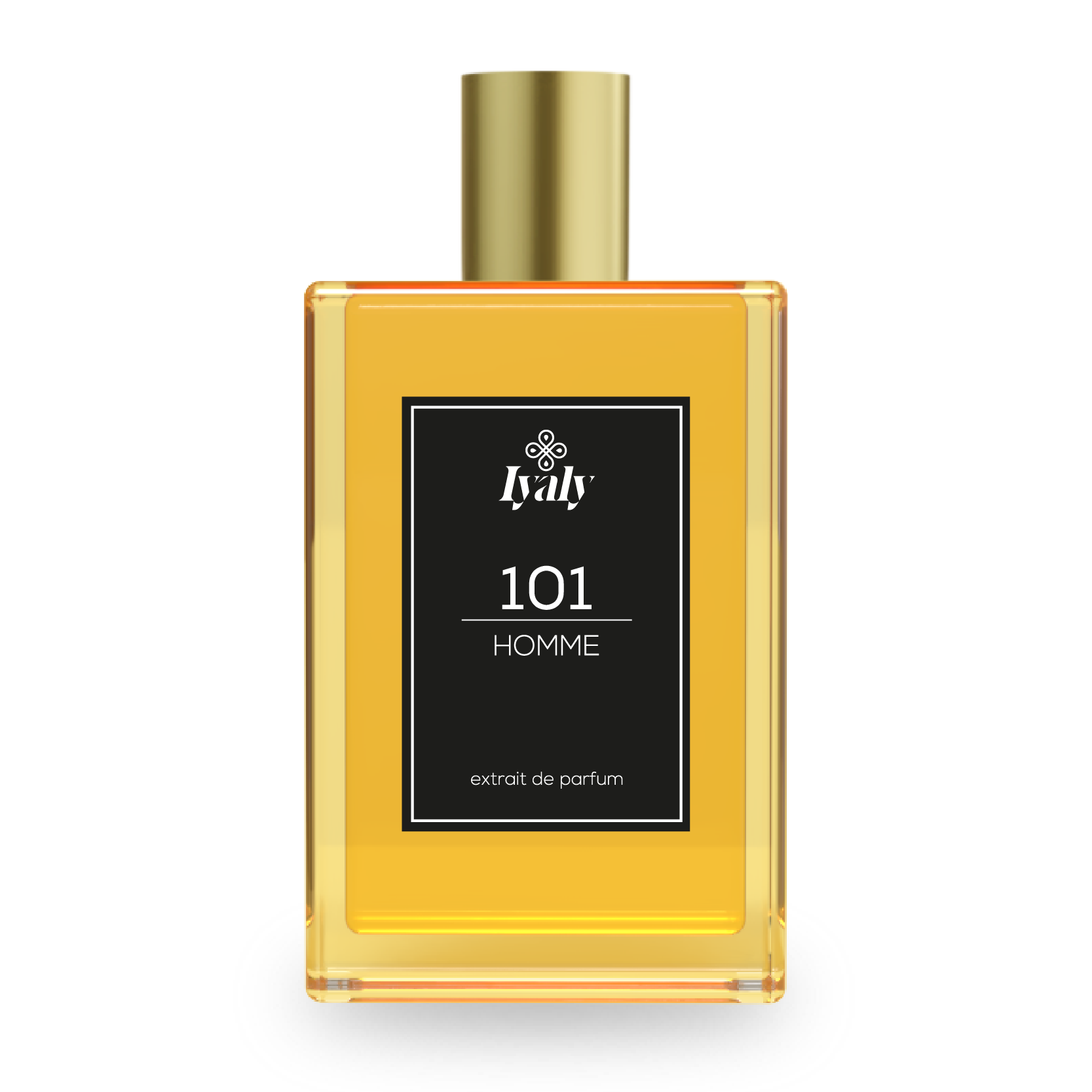 IYALY FRAGRANCES / PARFUMS HOMME 🧴